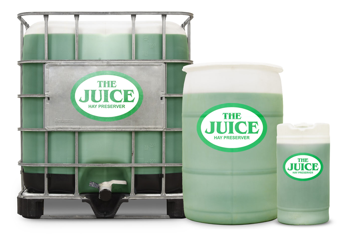 The-Juice-Group-Photo