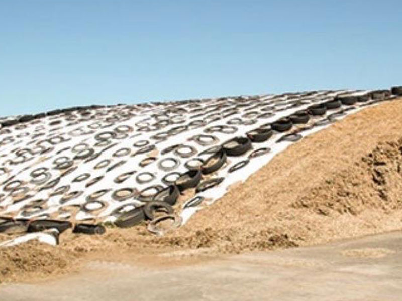 img_Silage-cover