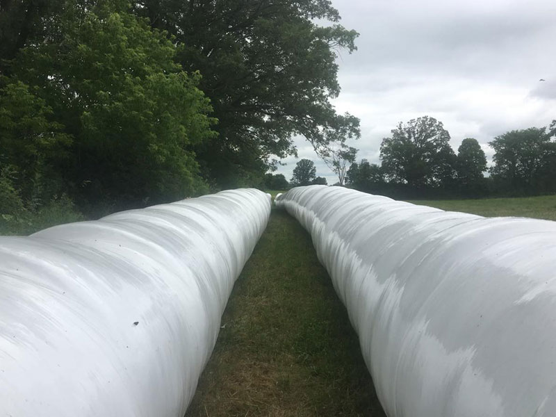 img_Silage_Bale_wrap